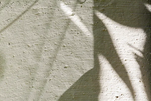 Artisan Stucco Mortars Ebro White lime wash paint detail refracting sun light